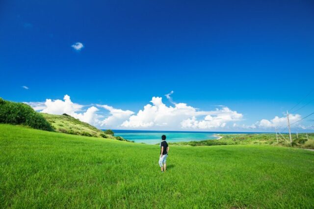 沖縄の草原